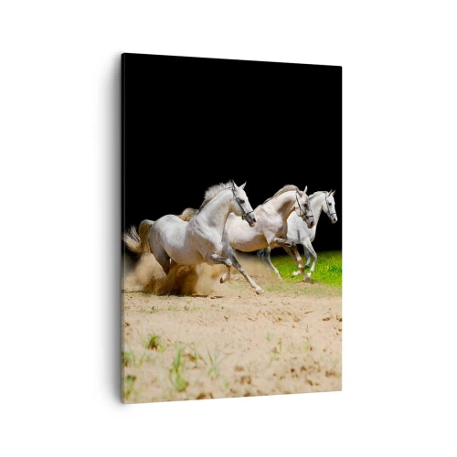 Impression sur toile - Image sur toile - Trois chevaux blancs galopant sur le sable et l'herbe - 50x70cm - Trois Grâces - Décoration murale moderne pour le salon et la chambre ARTTOR