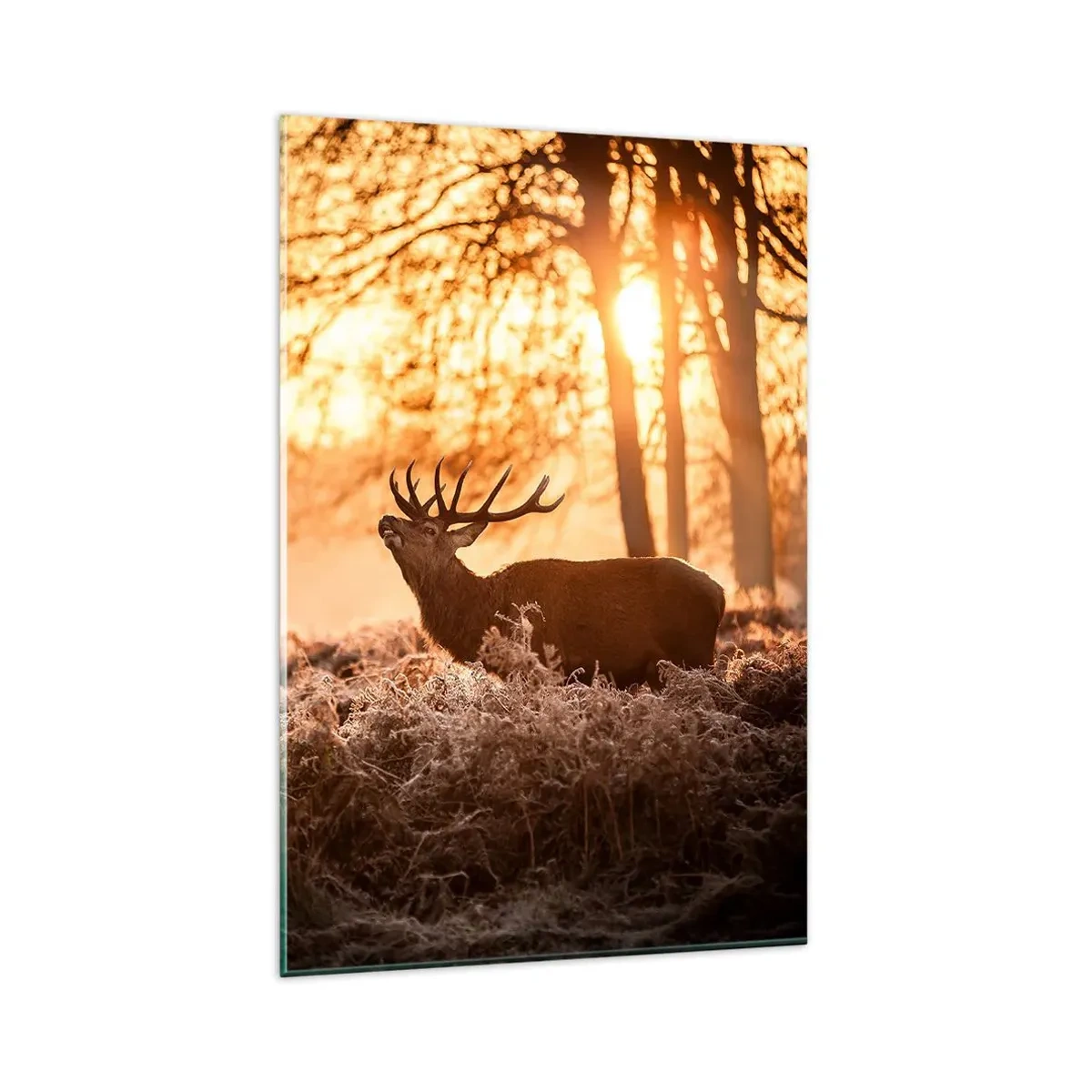 Impression sur verre - Image sur verre - Deux cerfs au coucher du soleil dans un paysage hivernal - 80x120cm - Le rêve d'un chasseur - Décoration murale moderne pour le salon et la chambre ARTTOR