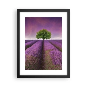 Affiche dans un cadre noir - Poster - Dans un champs de lavande - 30x40 cm