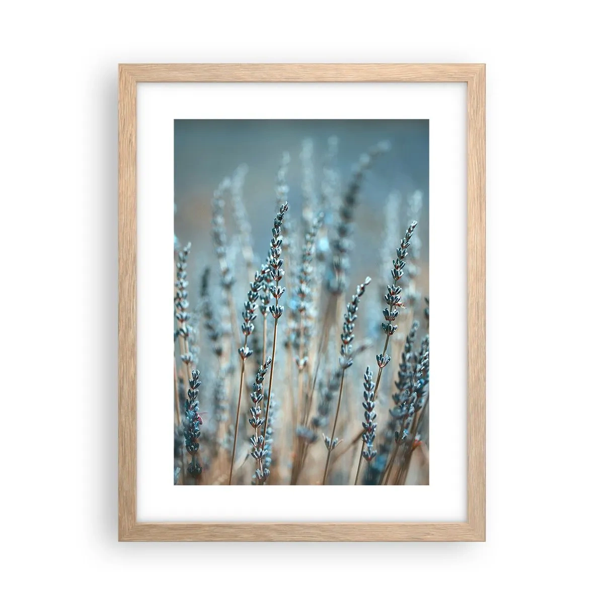 Affiche dans un chêne clair - Poster - Tige odorante - 30x40 cm