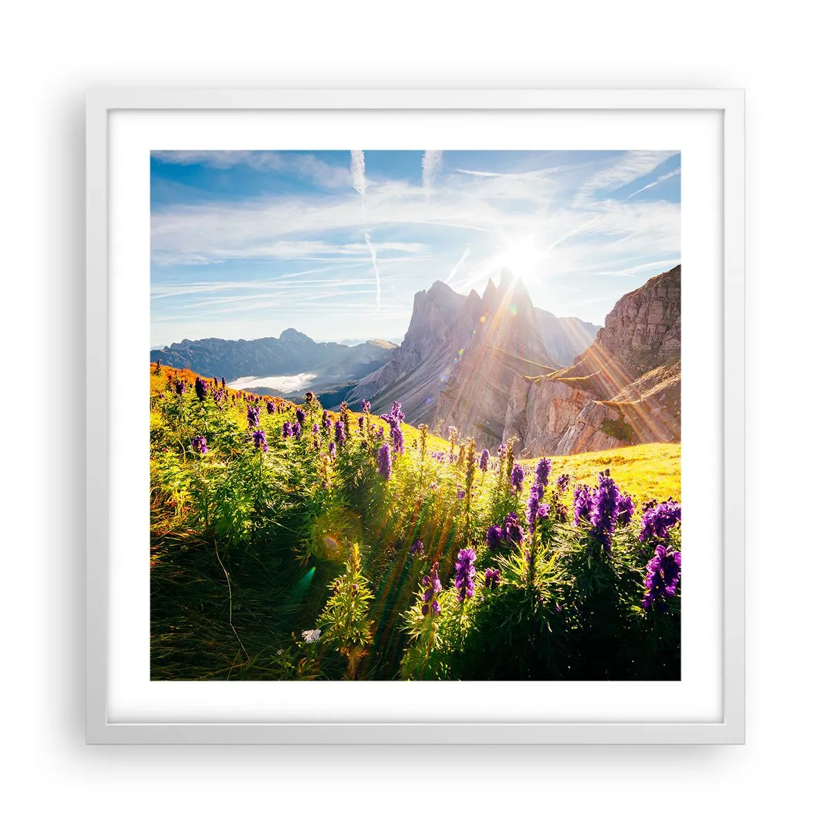 Affiche dans un cadre blanc - Poster - La vie secrète des herbes - 50x50 cm