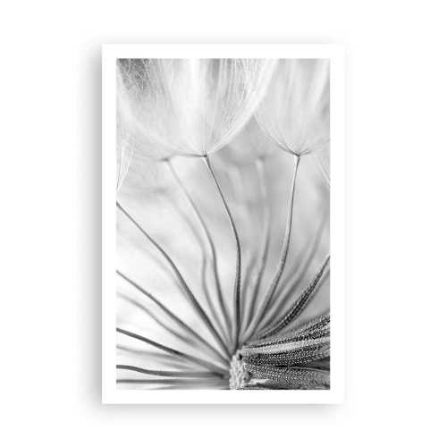 Affiche - Poster - Aigrette avant son envol - 61x91 cm