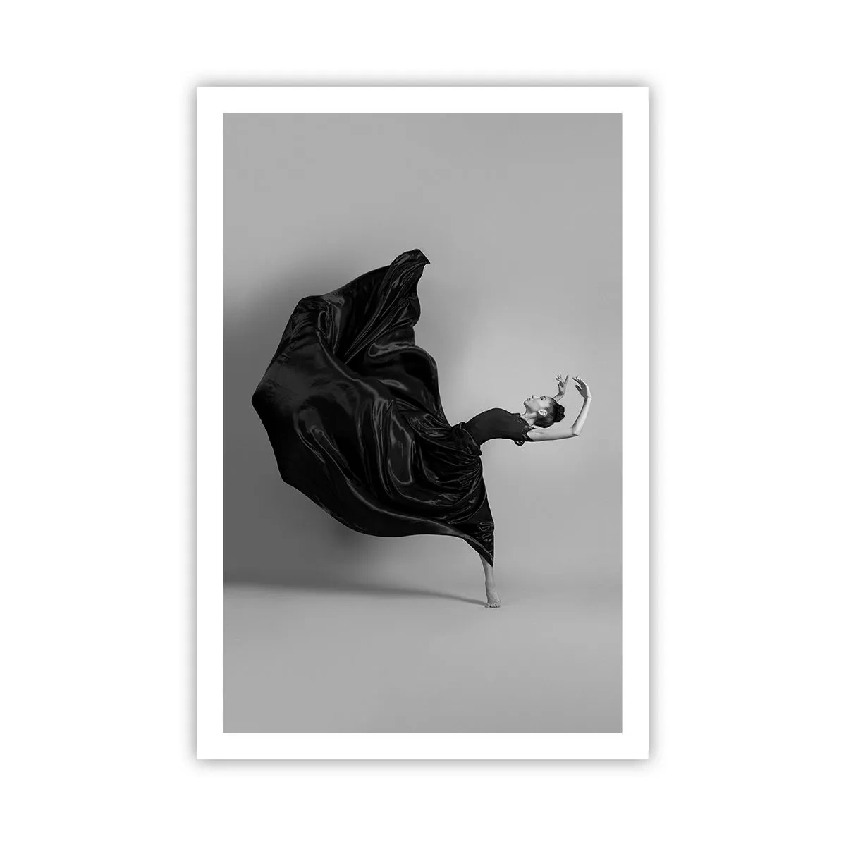 Affiche - Poster - Musique ailées - 61x91 cm