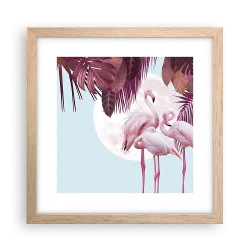 Affiche dans un chêne clair - Poster - Trois oiseaux gracieux - 30x30 cm