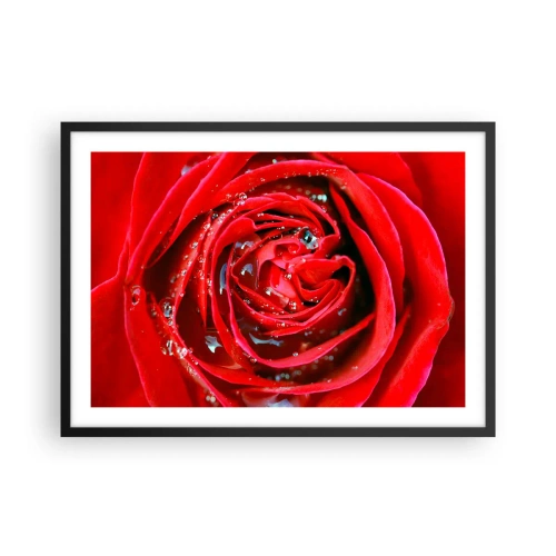 Affiche dans un cadre noir - Poster - Gros plan d'une rose rouge avec des gouttes d'eau sur les pétales - 70x50cm - Dans les gouttes de rosée - Décoration murale moderne pour le salon et la chambre ARTTOR