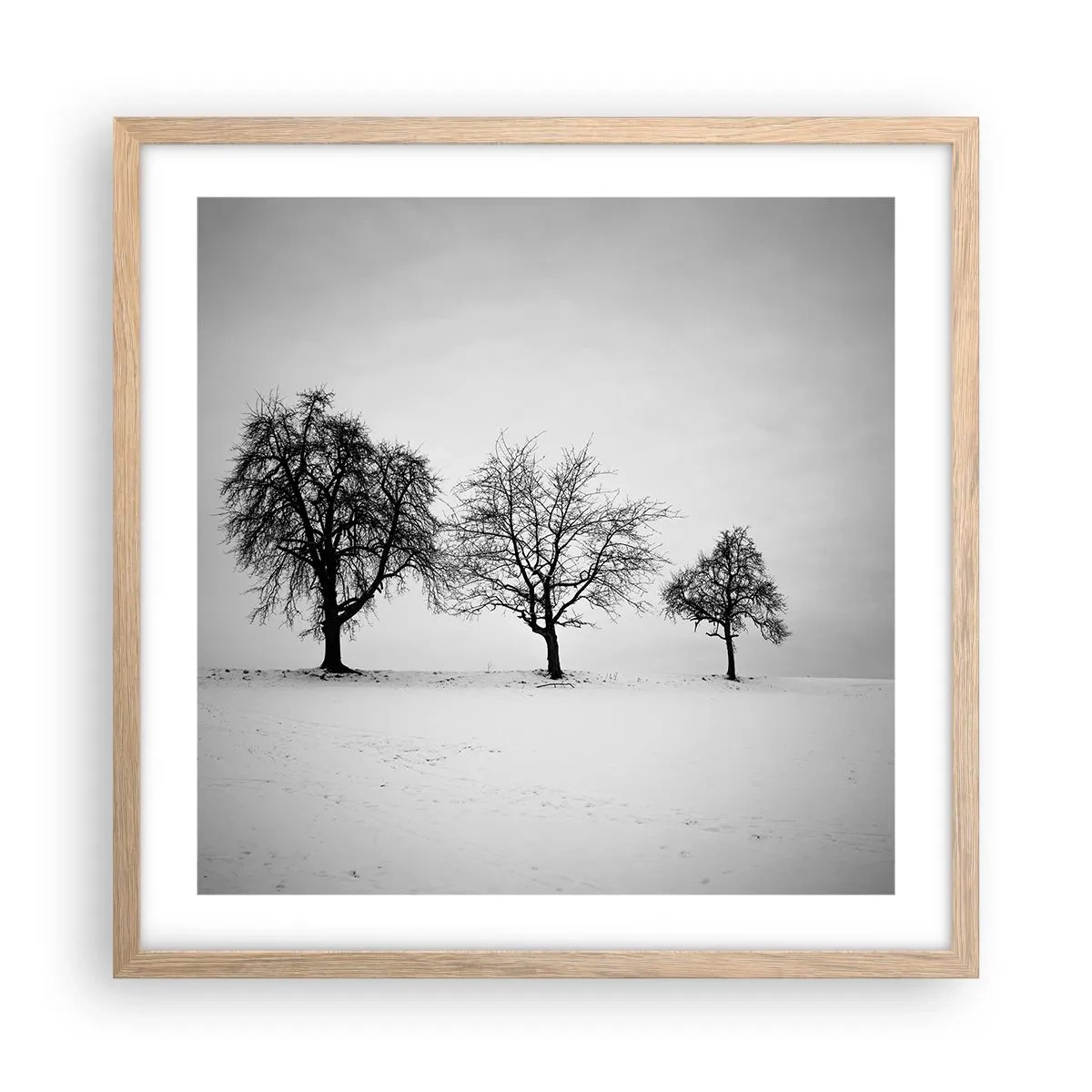 Affiche dans un chêne clair - Poster - A quoi rêvent-ils? - 50x50 cm