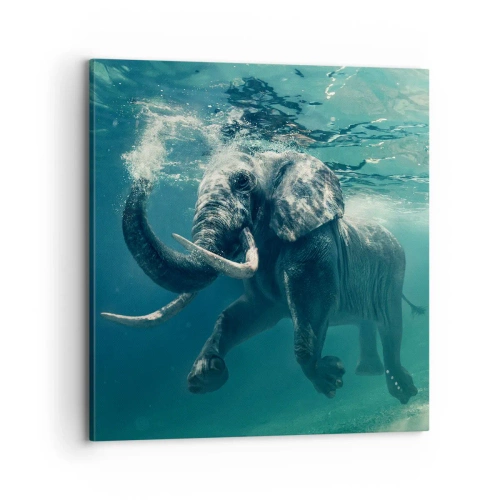 Impression sur toile - Image sur toile - Tout le monde aime nager - 70x70 cm