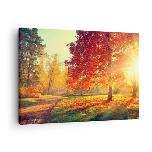 Impression sur toile - Image sur toile - Parc d'automne illuminé par la lumière du soleil - 70x50cm - Le roux est beau - Décoration murale moderne pour le salon et la chambre ARTTOR