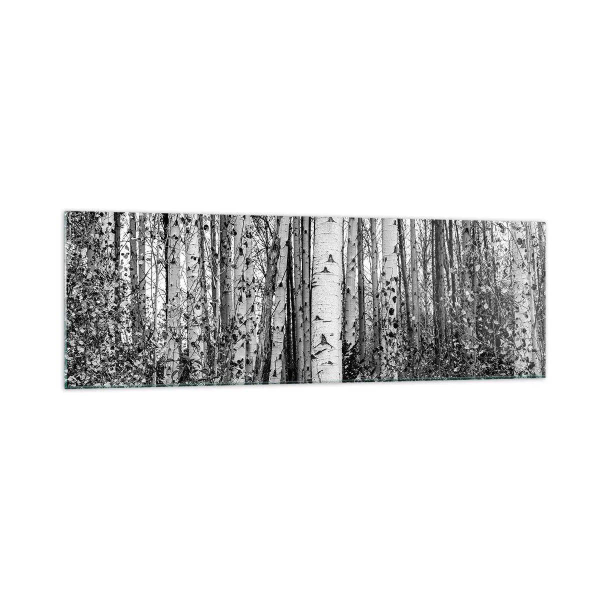 Impression sur verre - Image sur verre - Bouleaux noirs et blancs dans la forêt - 160x50cm - Enchevêtrement de bouleau - Décoration murale moderne pour le salon et la chambre ARTTOR