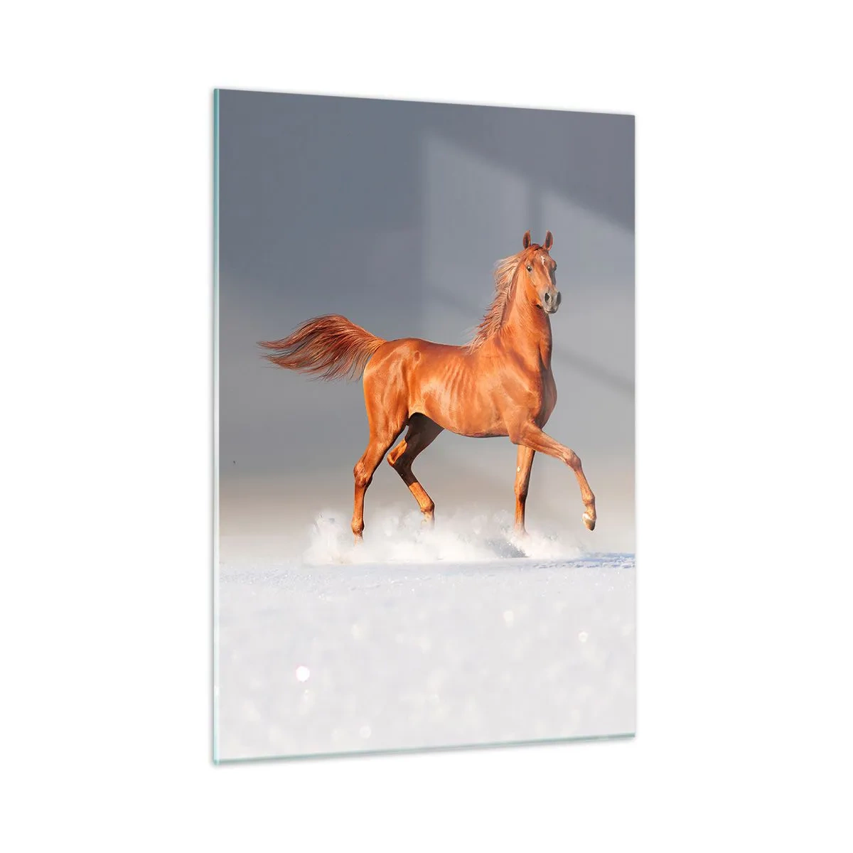 Impression sur verre - Image sur verre - Un cheval au galop contre un ciel lumineux - 50x70cm - La grâce dansante - Décoration murale moderne pour le salon et la chambre ARTTOR