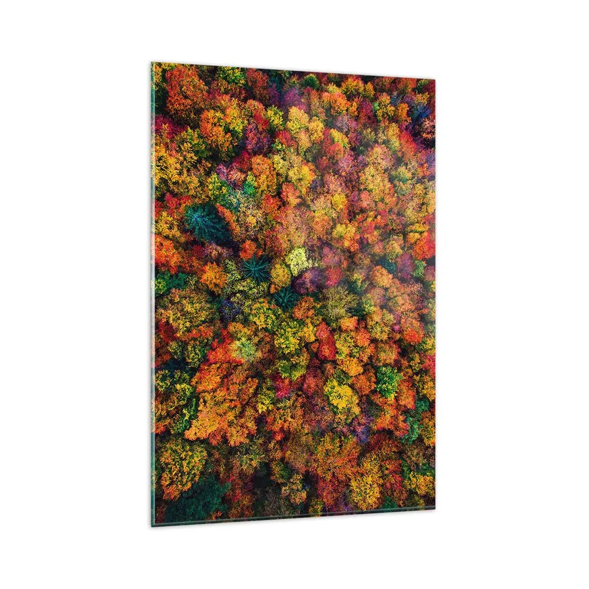 Impression sur verre - Image sur verre - Couronnes d'arbres colorées dans la palette d'automne - 80x120cm - Bouquet d'arbres automnal - Décoration murale moderne pour le salon et la chambre ARTTOR