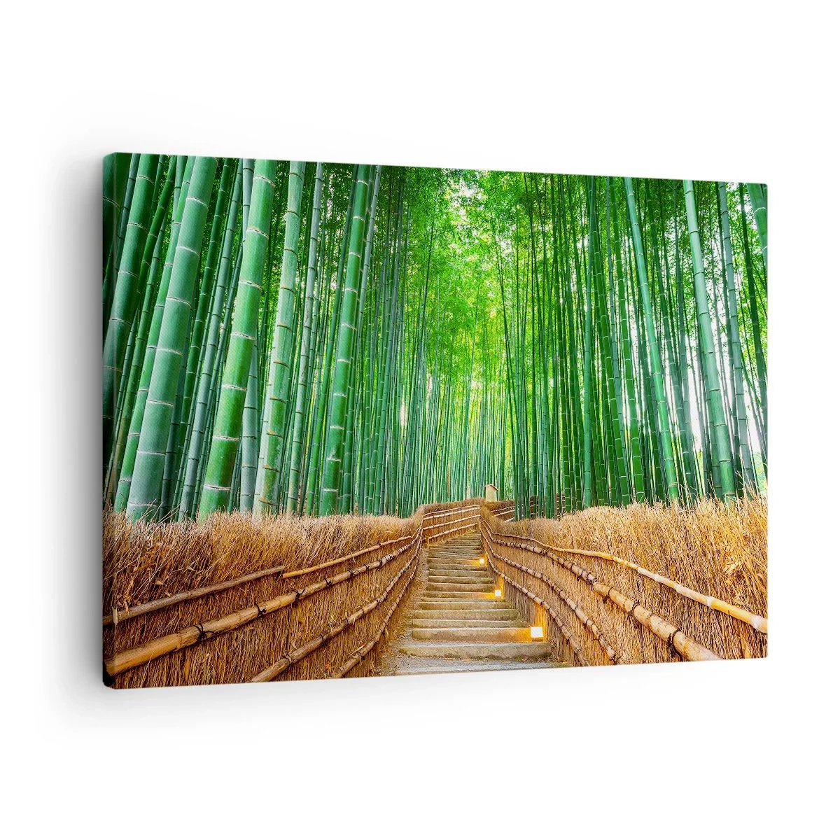 Impression sur toile - Image sur toile - Un chemin dans une dense forêt de bambous - 70x50cm - L'essence de la nature asiatique - Décoration murale moderne pour le salon et la chambre ARTTOR