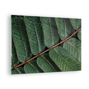 Impression sur verre - Image sur verre - Gros plan de feuilles vertes avec des gouttes d'eau - 70x50cm - Au rythme de la verdure - Décoration murale moderne pour le salon et la chambre ARTTOR