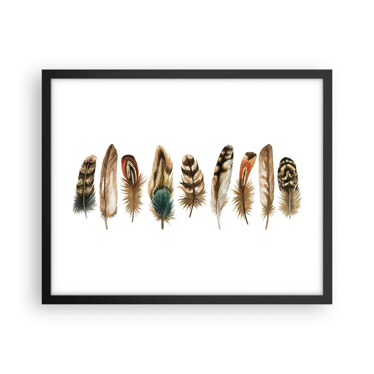 Affiche dans un cadre noir - Poster - Variation à plumes - 50x40 cm