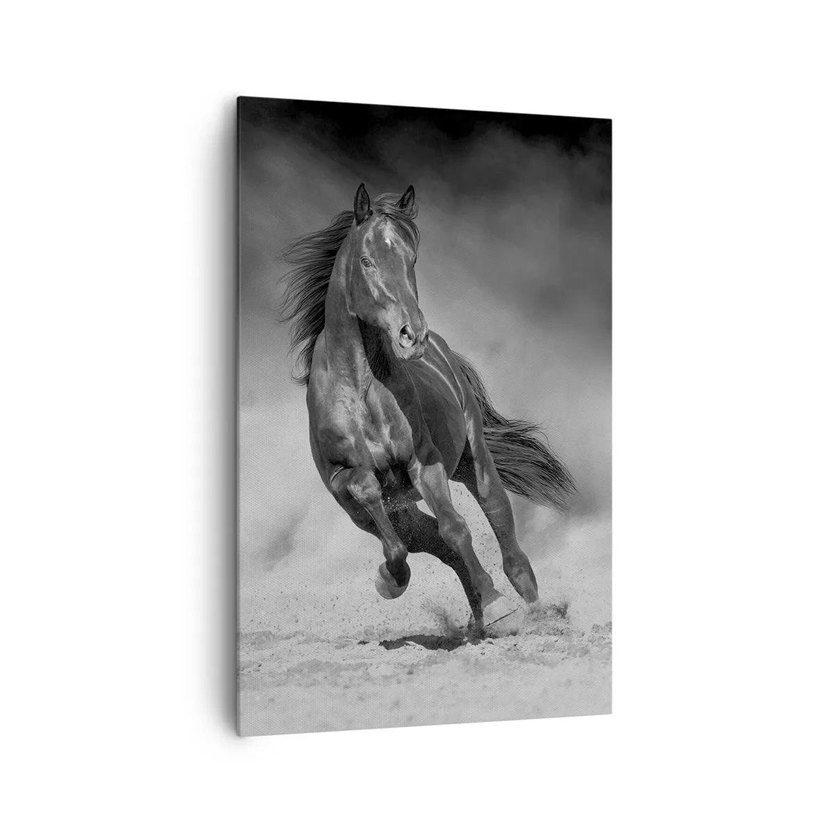 Impression sur toile - Image sur toile - Un cheval noir et blanc galopant sur le sable - 80x120cm - Digne de l'émir lui-même - Décoration murale moderne pour le salon et la chambre ARTTOR