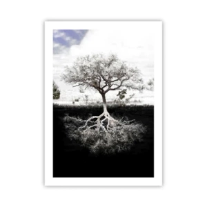 Affiche - Poster - Un arbre minimaliste avec un système racinaire visible - 50x70cm - Découvrir la nature du monde - Décoration murale moderne pour le salon et la chambre ARTTOR