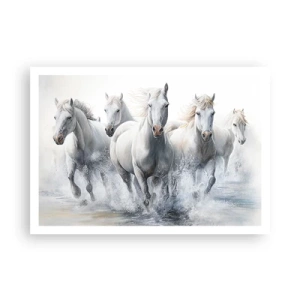 Affiche - Poster - Des chevaux blancs galopent dans l'eau - 100x70cm - Magie blanche - Décoration murale moderne pour le salon et la chambre ARTTOR