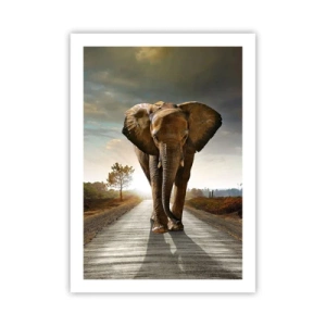 Affiche - Poster - Un éléphant marchant le long de la route au coucher du soleil - 50x70cm - Et pas du tout en porcelaine - Décoration murale moderne pour le salon et la chambre ARTTOR