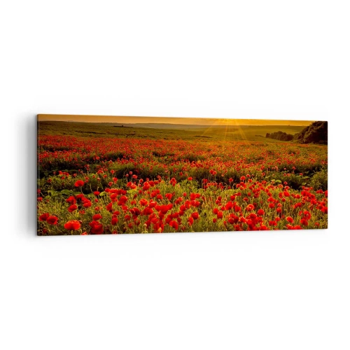 Impression sur toile - Image sur toile - Un champ de coquelicots rouges dans la lueur du soleil couchant - 140x50cm - Parmi les vagues des prairies bruissantes, parmi les fleurs du déluge - Décoration murale moderne pour le salon et la chambre ARTTOR