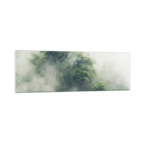 Impression sur verre - Image sur verre - Arbres verts dans un épais brouillard sur fond naturel - 160x50cm - Enveloppé de brouillard - Décoration murale moderne pour le salon et la chambre ARTTOR