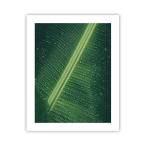 Affiche - Poster - Structure de vert - 40x50 cm
