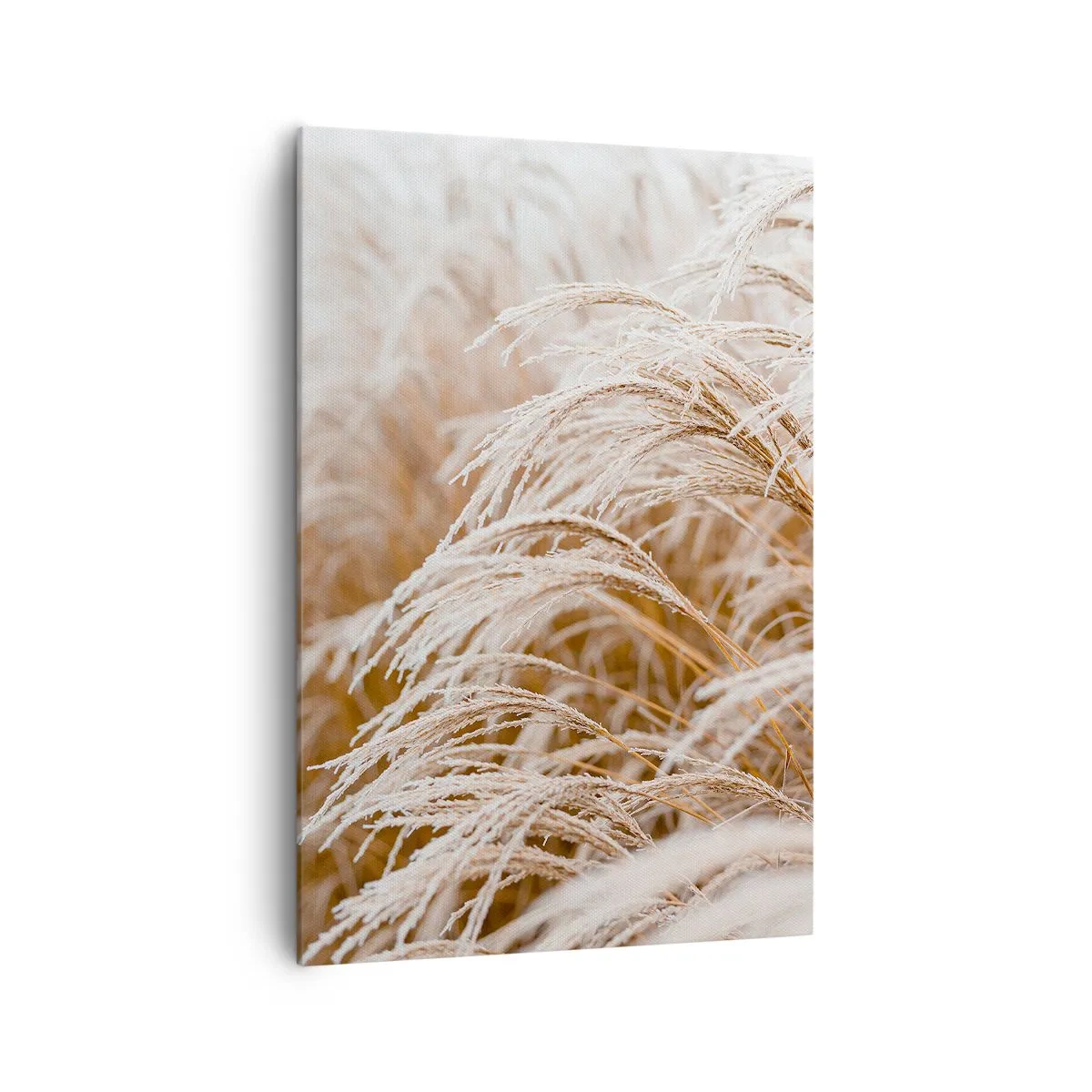 Impression sur toile - Image sur toile - Prosternez-vous devant le soleil d'automne - 70x100 cm