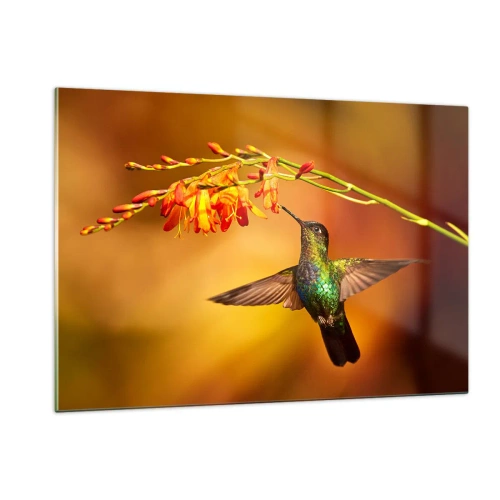 Impression sur verre - Image sur verre - Colibri près des fleurs dans une lueur dorée - 120x80cm - Un messager de lumière selon les Mayas - Décoration murale moderne pour le salon et la chambre ARTTOR