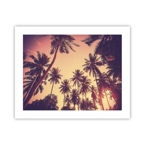 Affiche - Poster - Variation tropicale - 50x40 cm