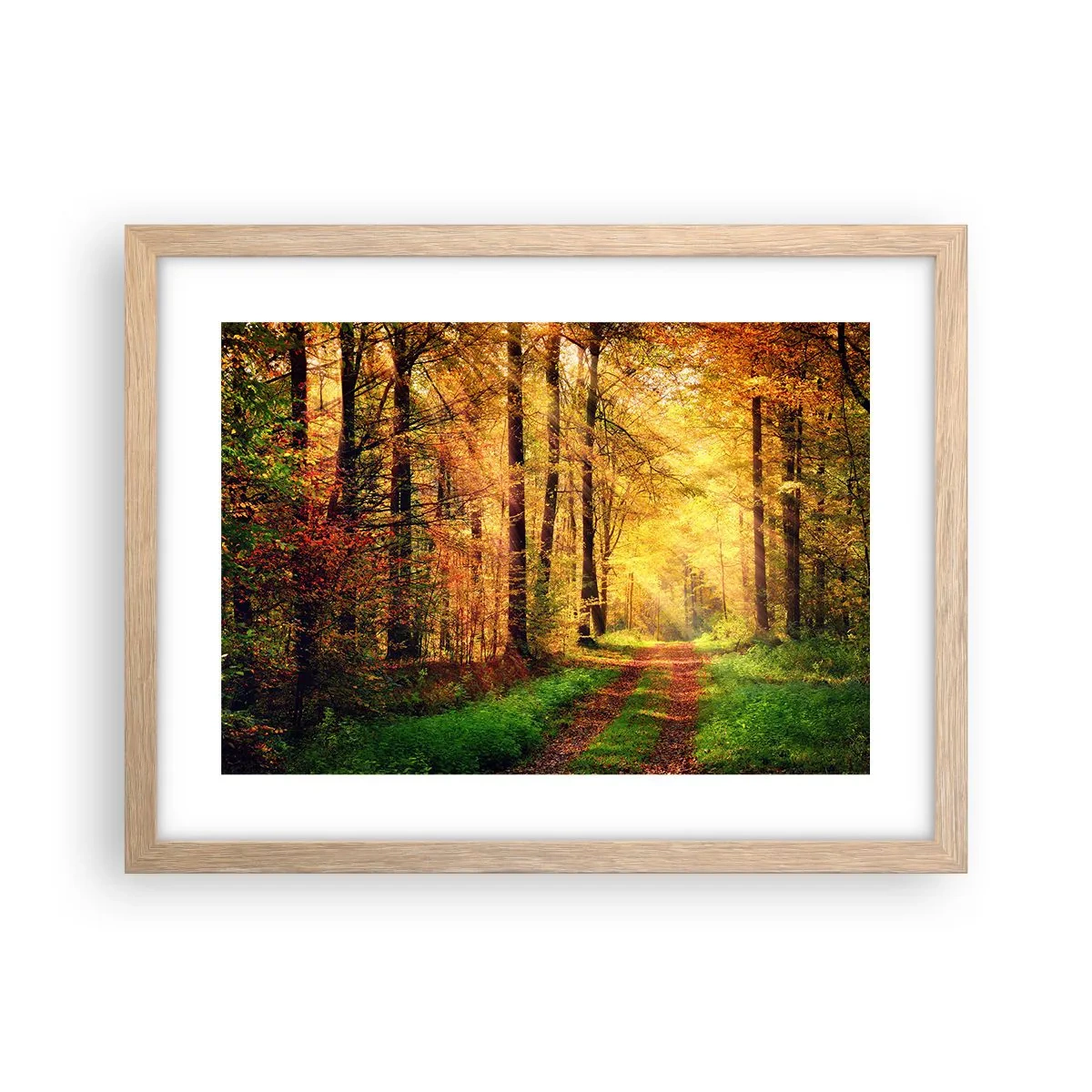 Affiche dans un chêne clair - Poster - Silence d'or en forêt - 40x30 cm