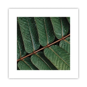 Affiche - Poster - Au rythme de la verdure - 30x30 cm