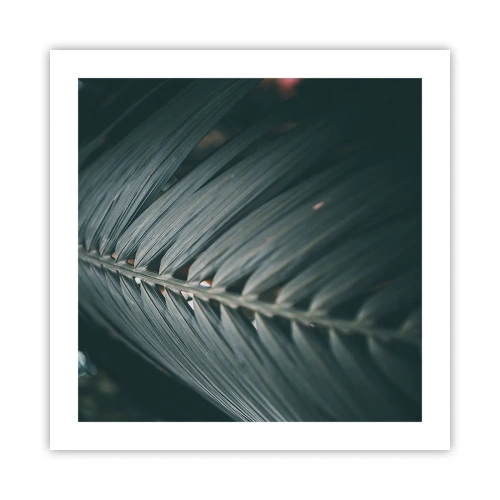 Affiche - Poster - Précision de la nature - 50x50 cm