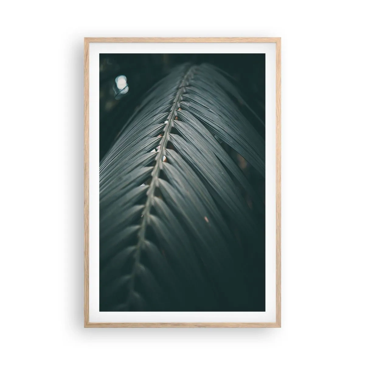 Affiche dans un chêne clair - Poster - Précision de la nature - 61x91 cm