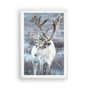 Affiche dans un cadre blanc - Poster - Portrait au soleil - 61x91 cm