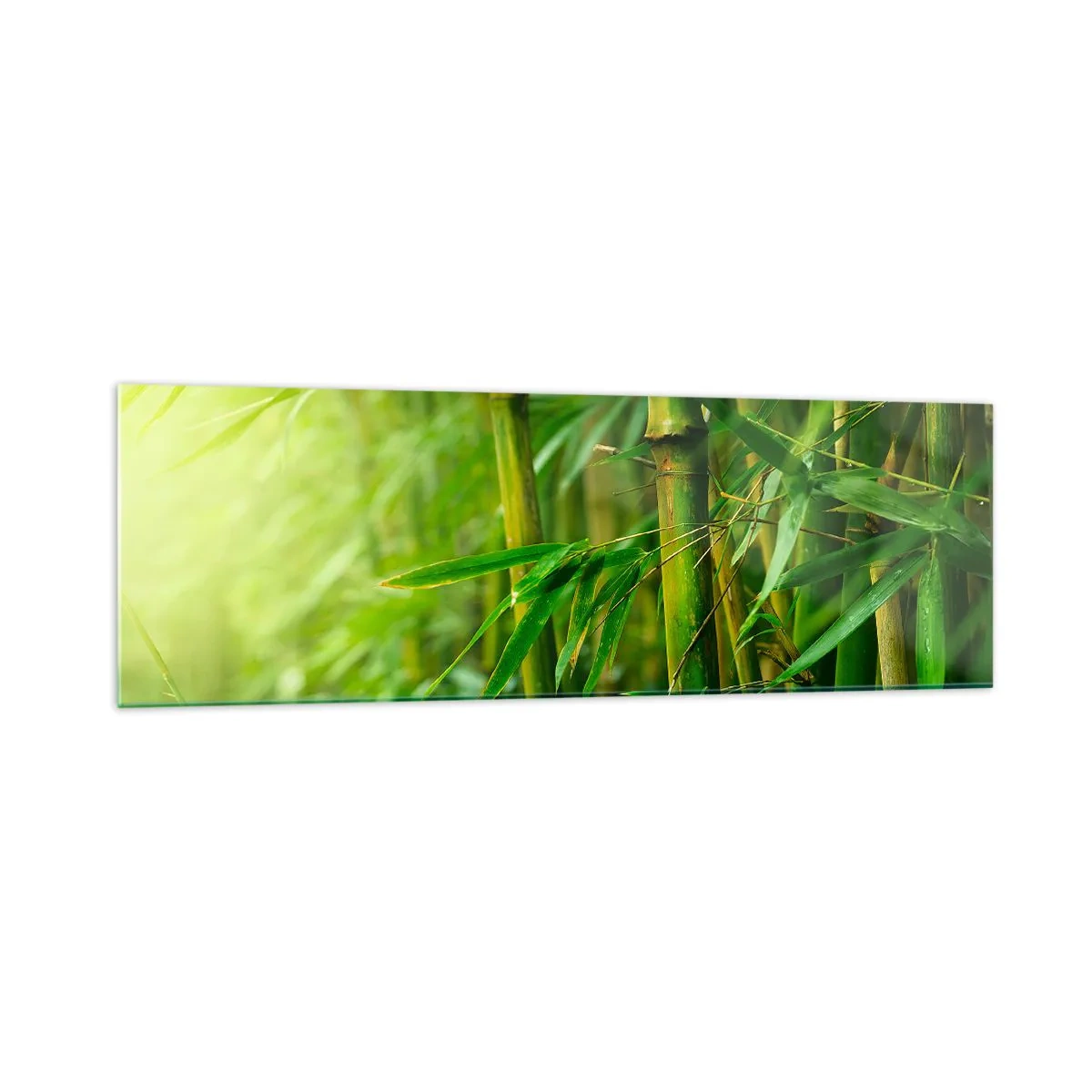 Impression sur verre - Image sur verre - Forêt de bambous verts dans une lumière douce - 160x50cm - Apprenez à connaître le vert lui-même - Décoration murale moderne pour le salon et la chambre ARTTOR