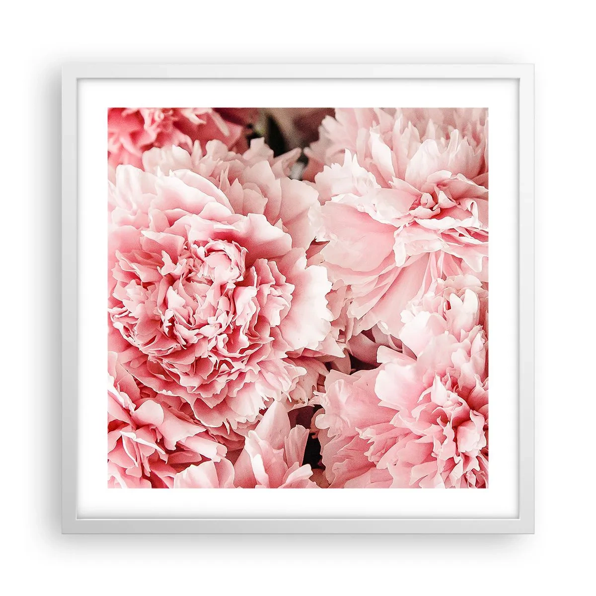 Affiche dans un cadre blanc - Poster - Rêve rose - 50x50 cm
