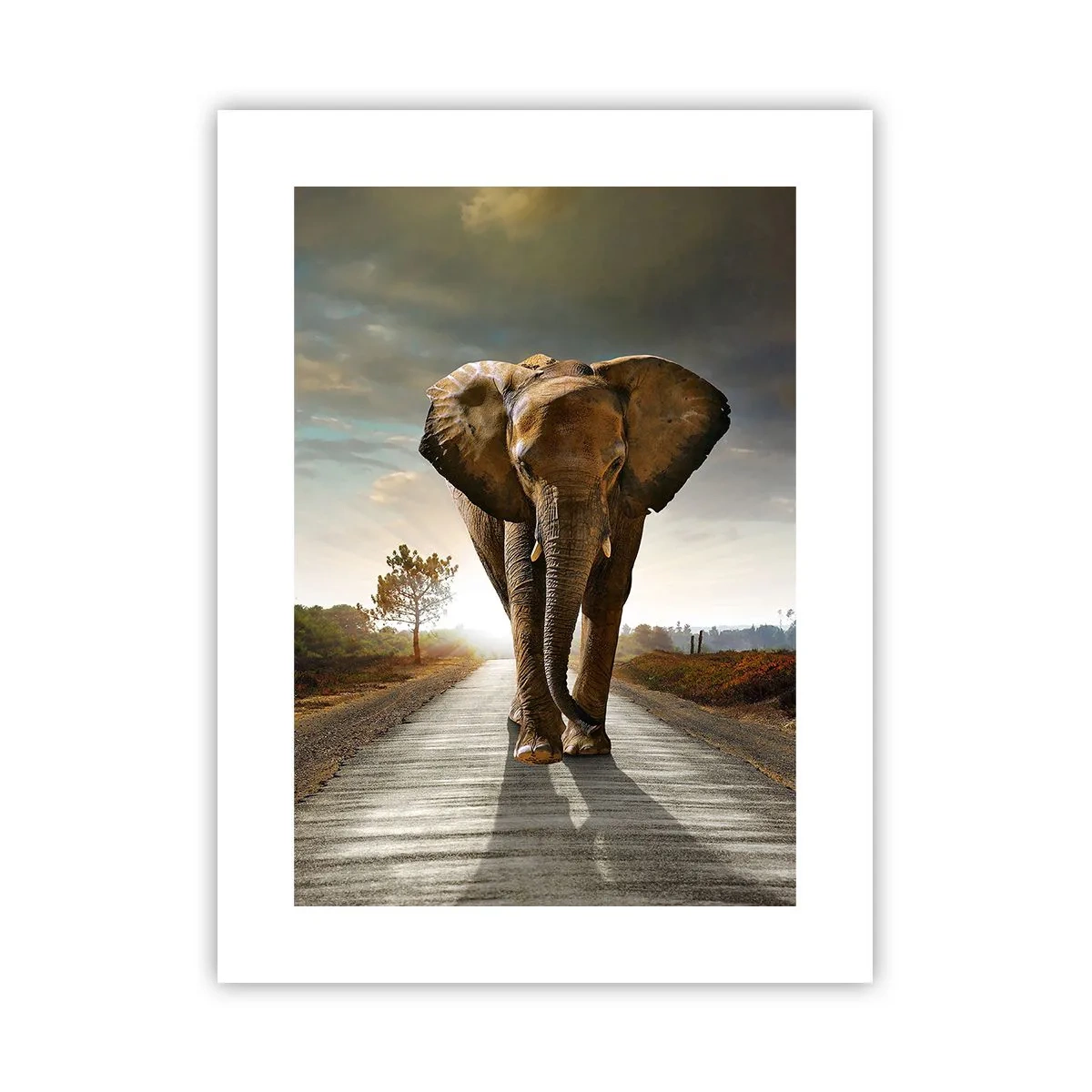 Affiche - Poster - Et pas du tout en porcelaine - 30x40 cm