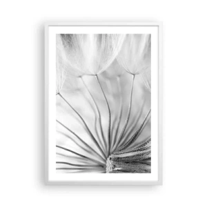 Affiche dans un cadre blanc - Poster - Aigrette avant son envol - 50x70 cm