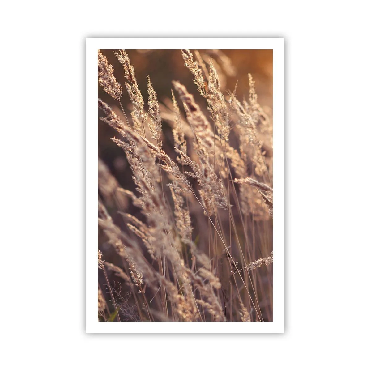 Affiche - Poster - Prêt à accueillir l'automne - 61x91 cm