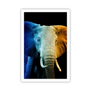 Affiche - Poster - Excentrique, pas bizarre - 61x91 cm