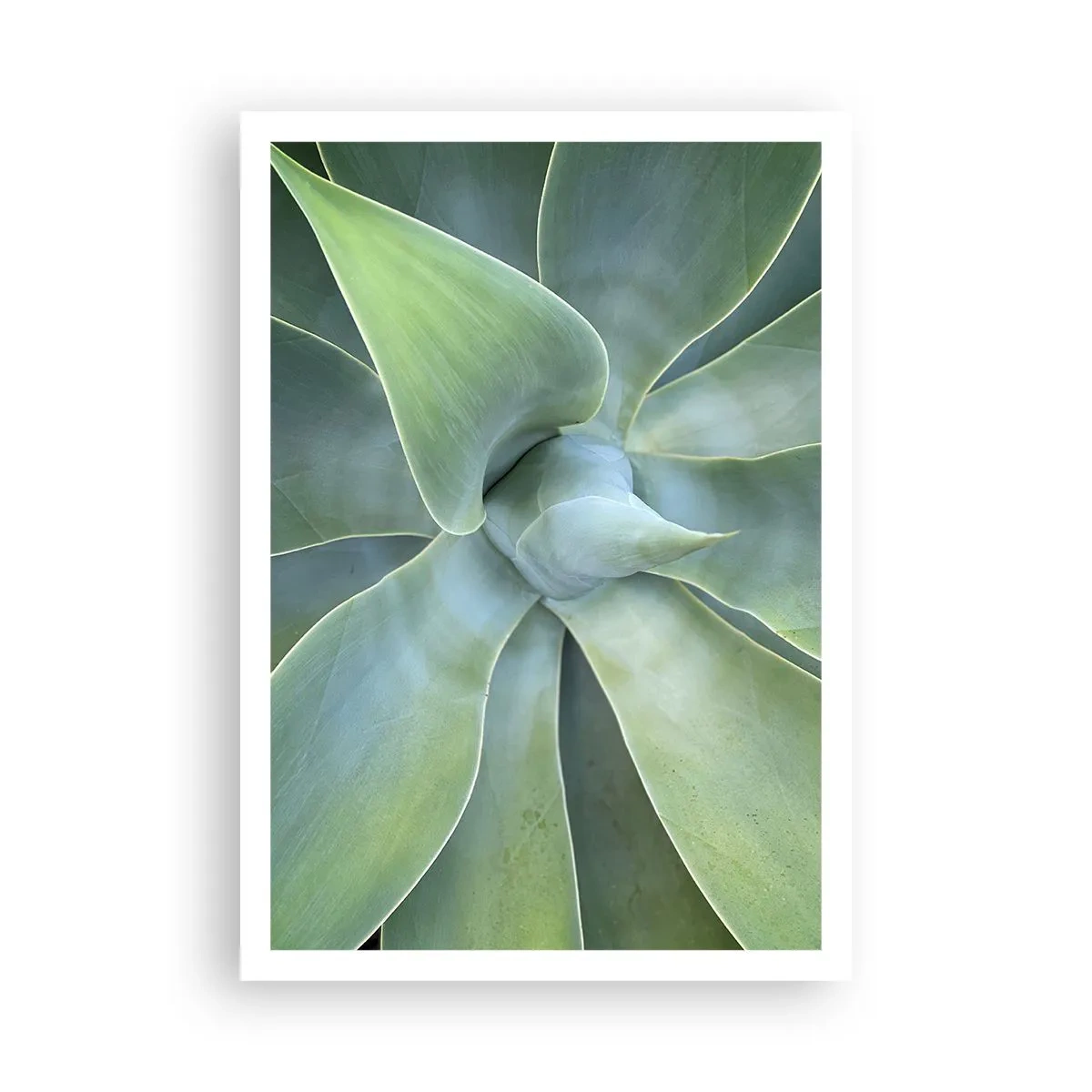 Affiche - Poster - La naissance de la verdure - 70x100 cm