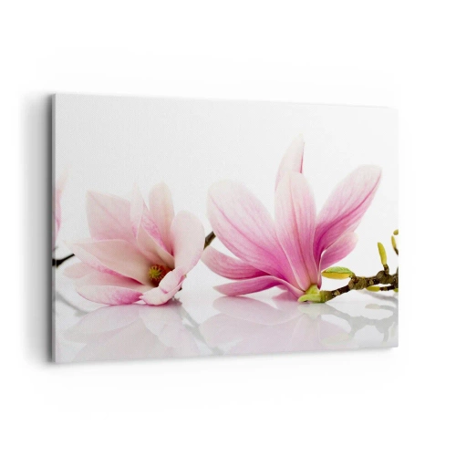 Impression sur toile - Image sur toile - Magnolias roses délicats sur fond blanc - 120x80cm - Délicat comme une brise de printemps - Décoration murale moderne pour le salon et la chambre ARTTOR