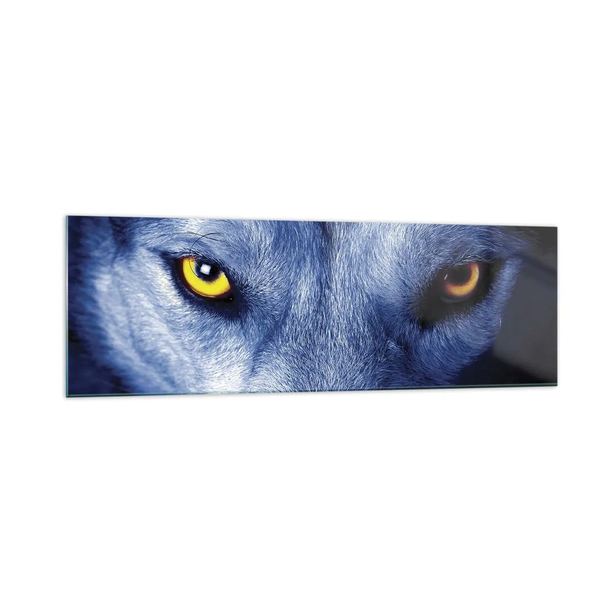 Impression sur verre - Image sur verre - Gros plan du regard intense d'un loup sur un fond sombre - 160x50cm - Regars hypnotique - Décoration murale moderne pour le salon et la chambre ARTTOR