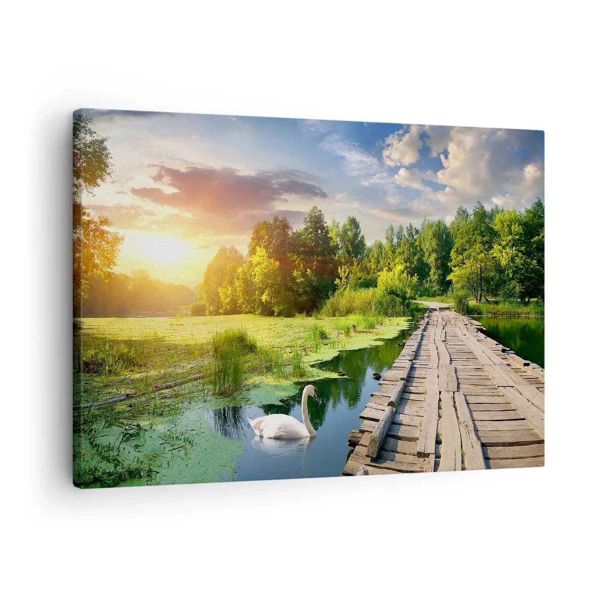 Impression sur toile - Image sur toile - Un paysage pittoresque avec un pont et un cygne - 70x50cm - L'été, l'été partout - Décoration murale moderne pour le salon et la chambre ARTTOR