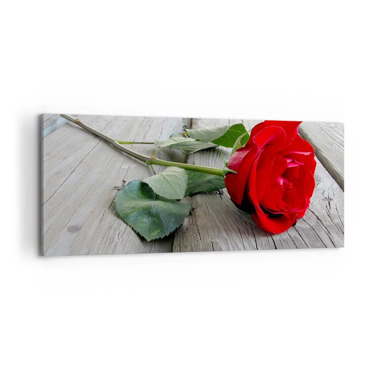 Impression sur toile - Image sur toile - Rose rouge sur fond de bois - 120x50cm - Étude écarlate - Décoration murale moderne pour le salon et la chambre ARTTOR