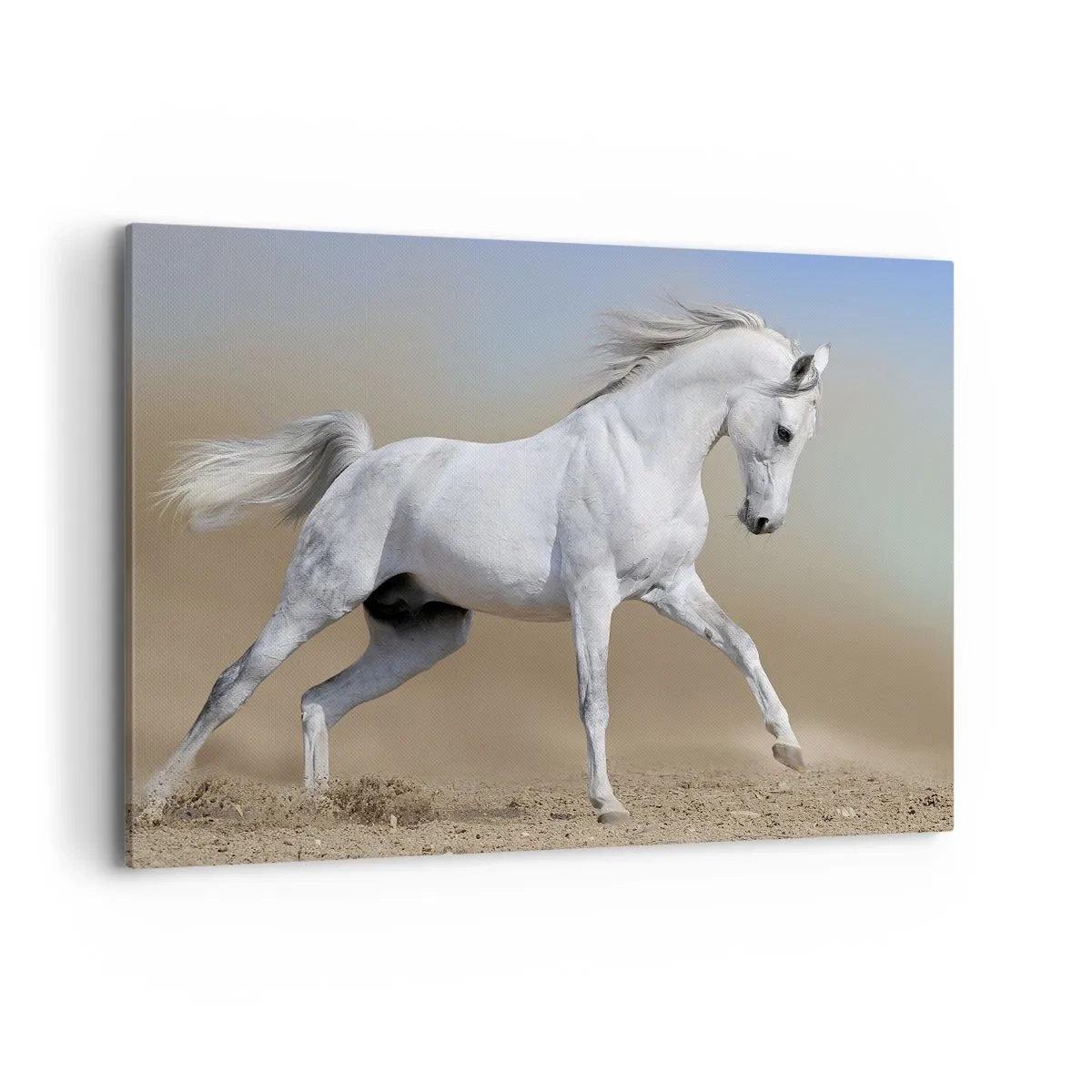 Impression sur toile - Image sur toile - Un cheval blanc galopant à travers un paysage désertique - 120x80cm - Le plus beau conte de fées arabe - Décoration murale moderne pour le salon et la chambre ARTTOR