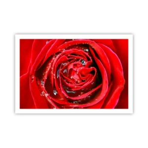 Affiche - Poster - Dans les gouttes de rosée - 91x61 cm