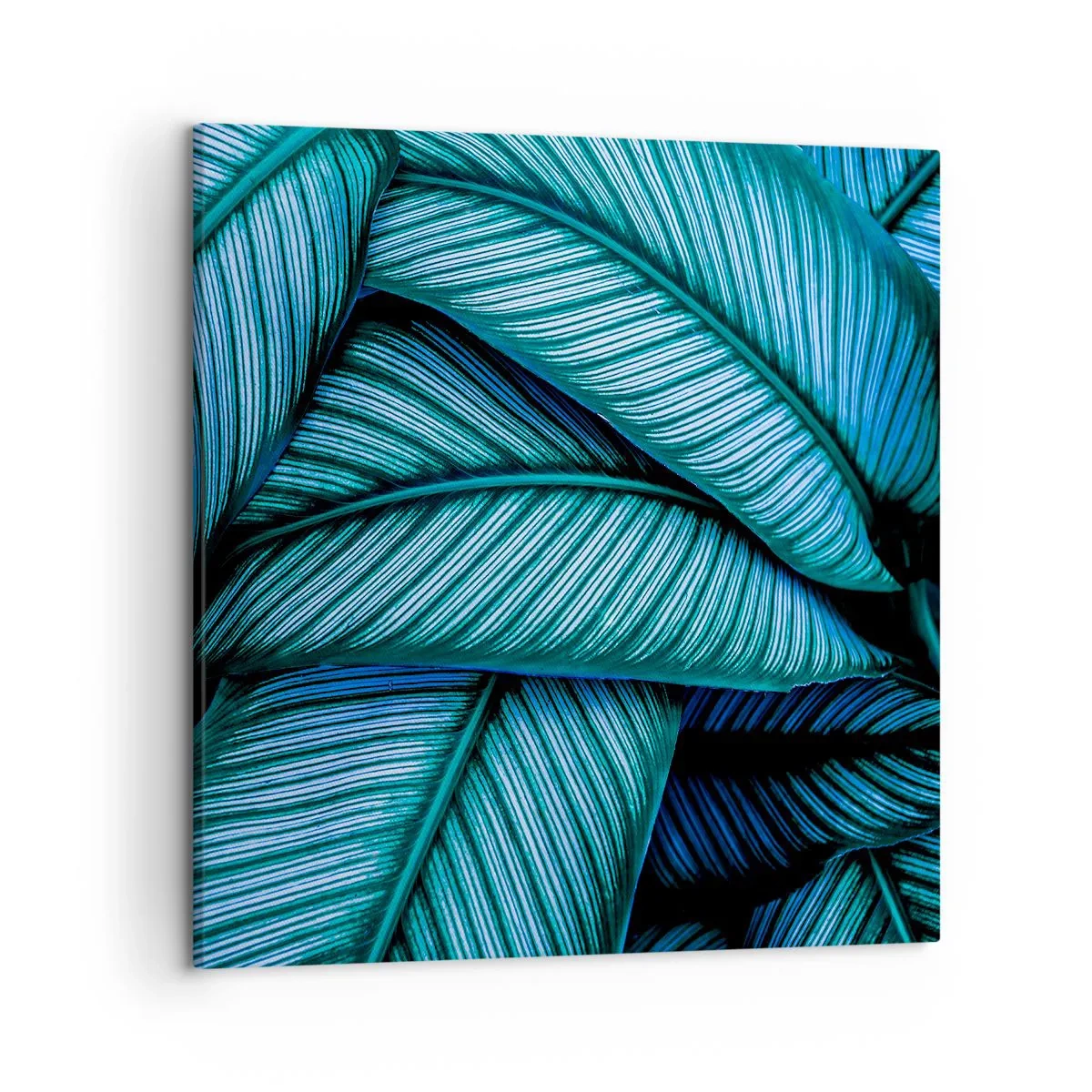 Impression sur toile - Image sur toile - Lignes de vie - 50x50 cm