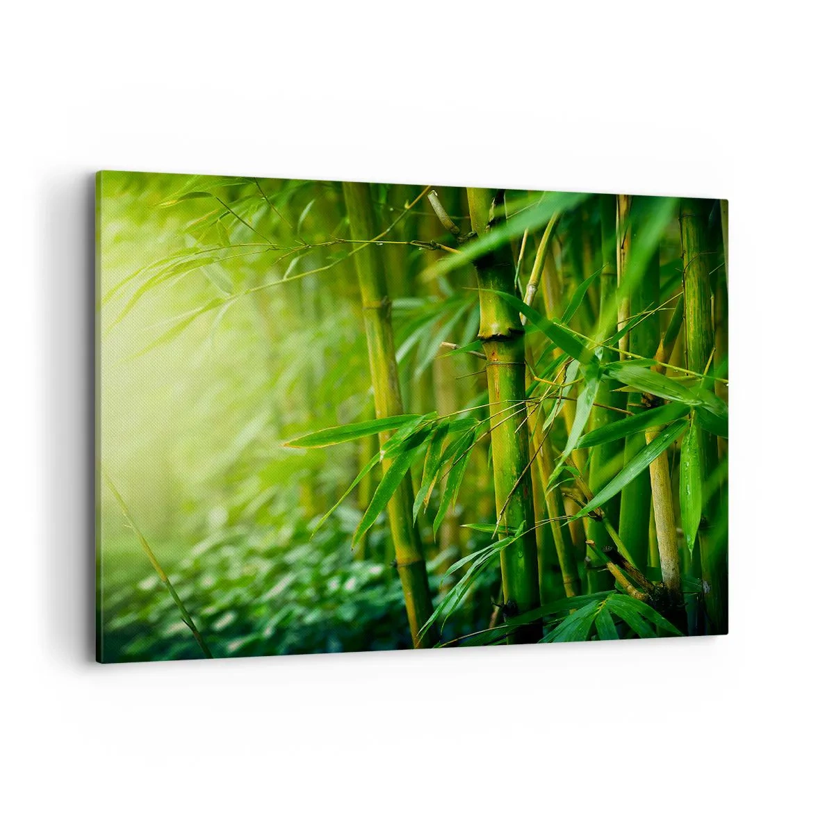 Impression sur toile - Image sur toile - Forêt de bambous verts dans une lumière douce - 120x80cm - Apprenez à connaître le vert lui-même - Décoration murale moderne pour le salon et la chambre ARTTOR
