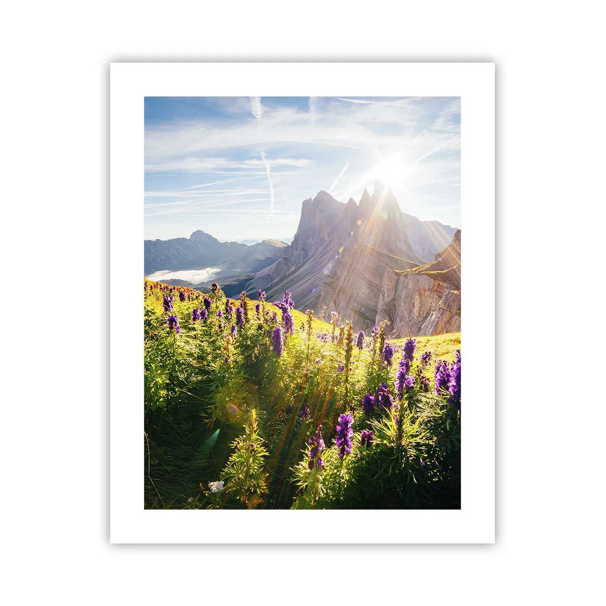 Affiche - Poster - La vie secrète des herbes - 40x50 cm