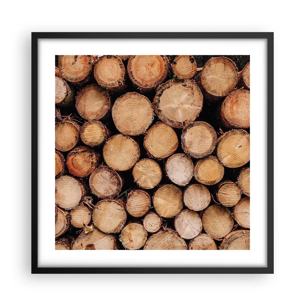 Affiche dans un cadre noir - Poster - Nouveau commencement - 50x50 cm